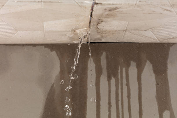 Professional Sewage Cleanup technician working in Morrice, MI